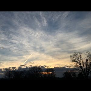 Meet your Posher, Dakota